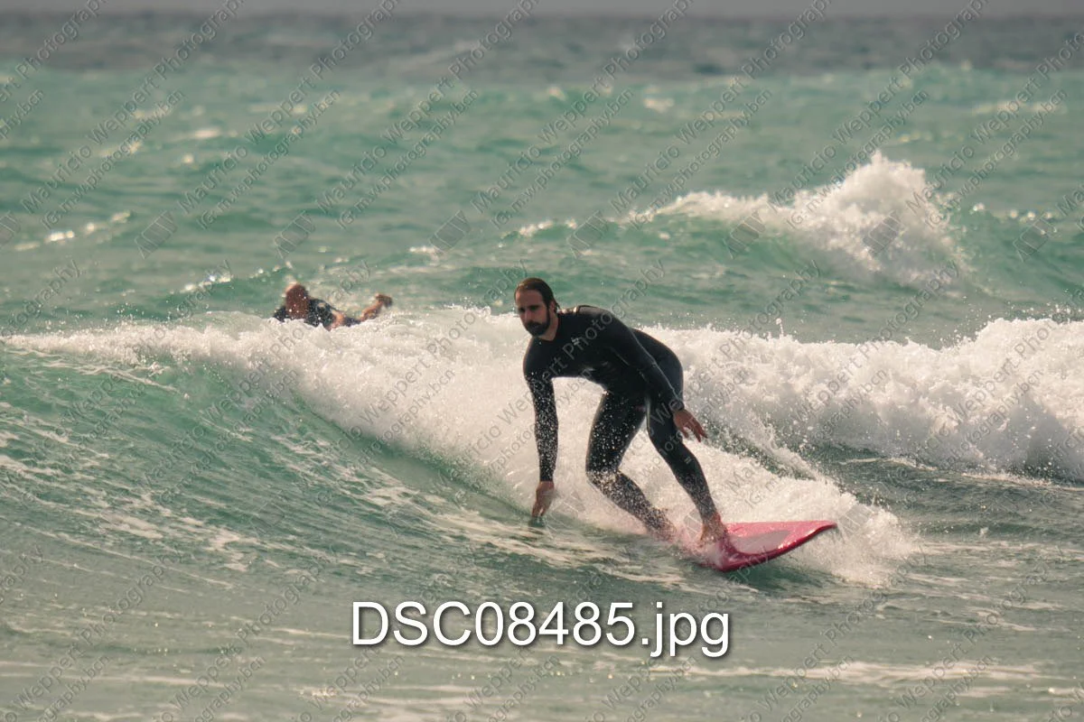 DSC08485.jpg