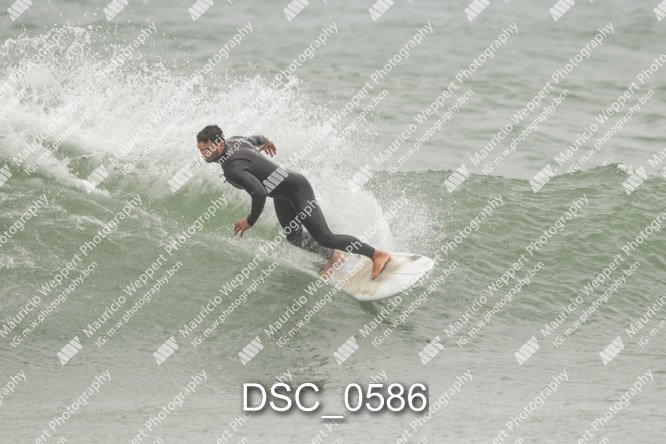 DSC_0586.jpg