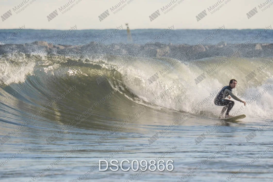 DSC09866.jpg