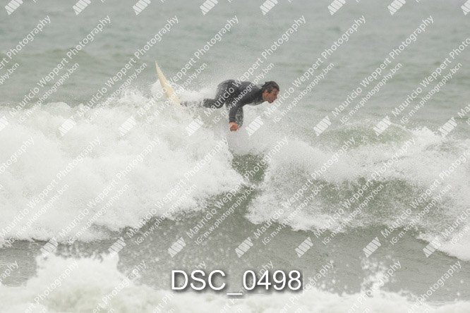DSC_0498.jpg