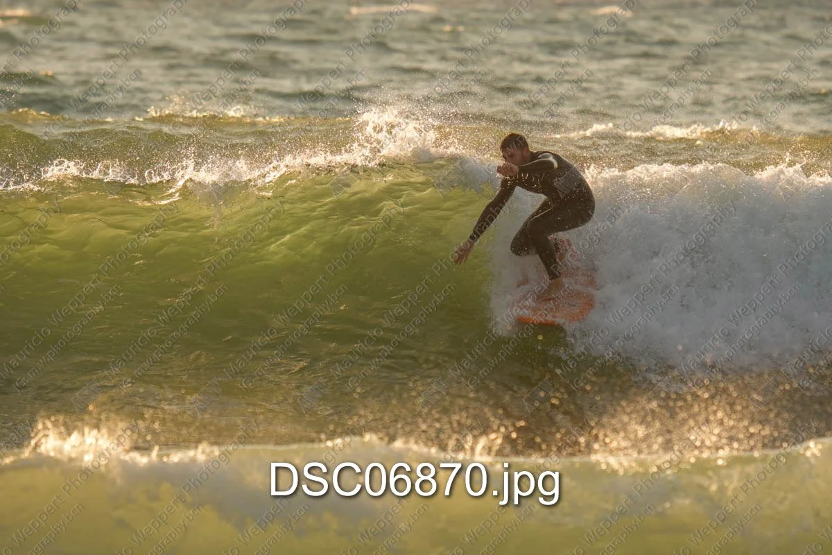 DSC06870.jpg