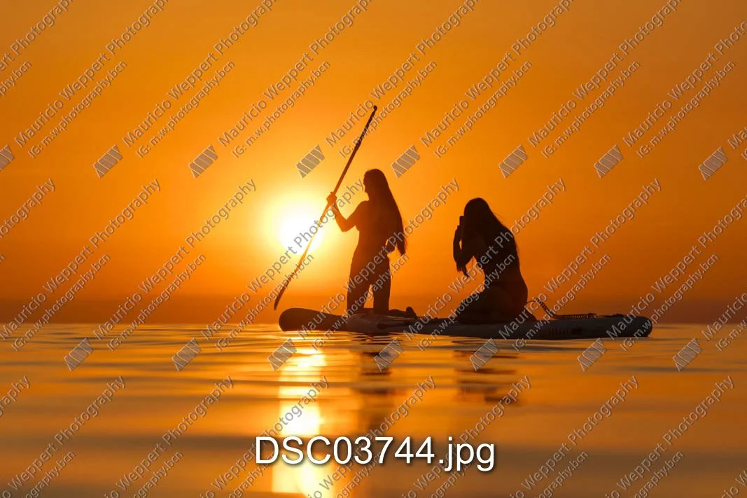DSC03744.jpg