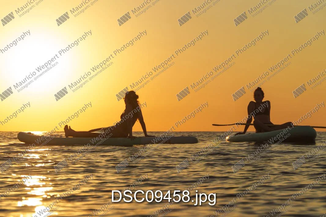 DSC09458.jpg