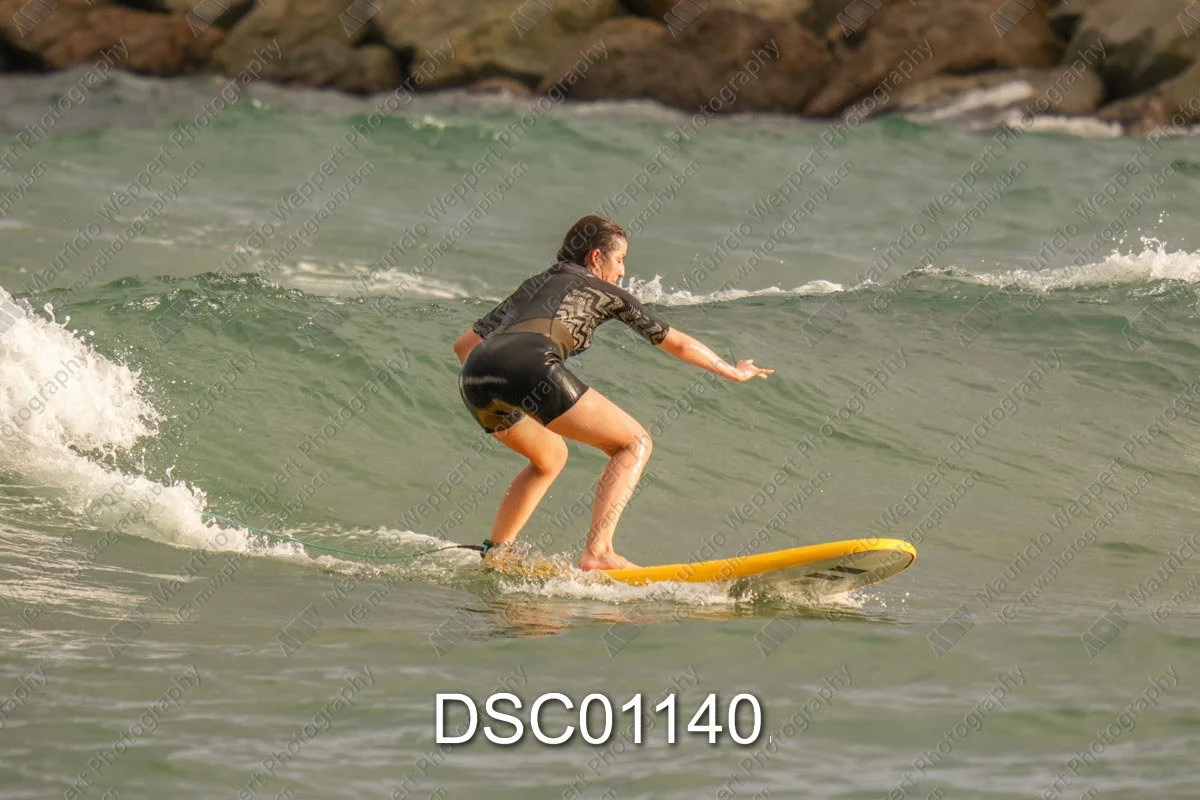 DSC01140.jpg
