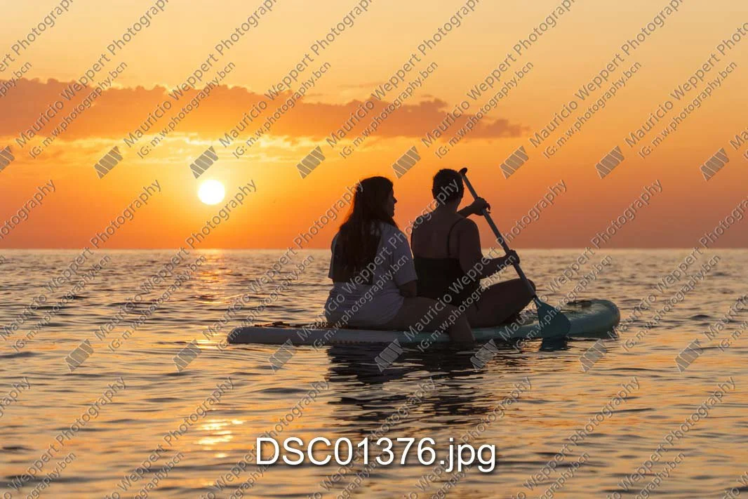 DSC01376.jpg