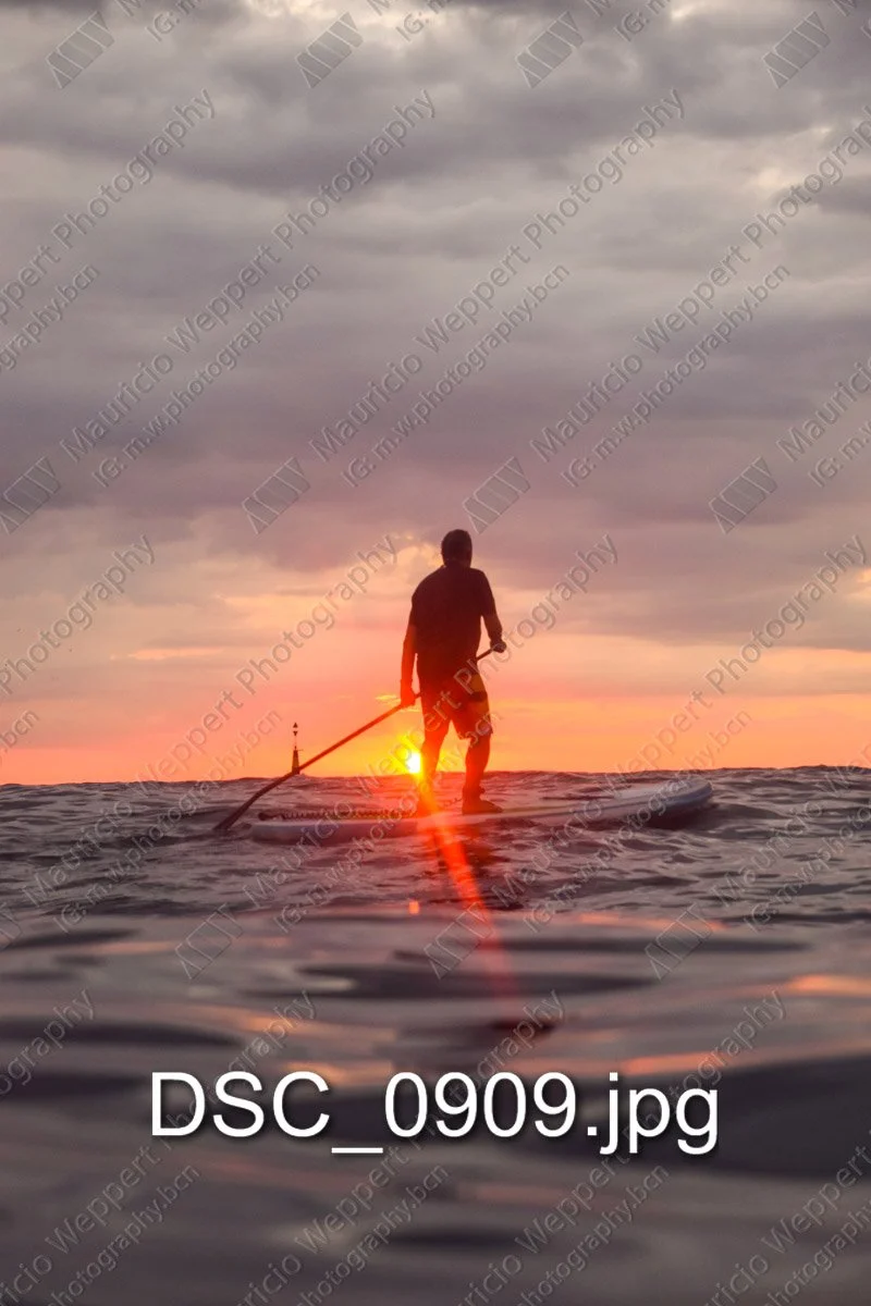 DSC_0909.jpg