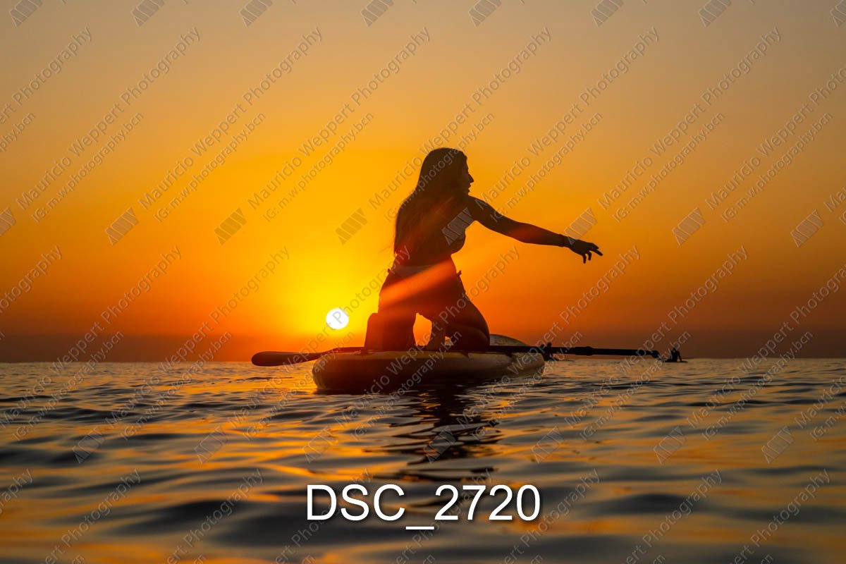 DSC_2720.jpg
