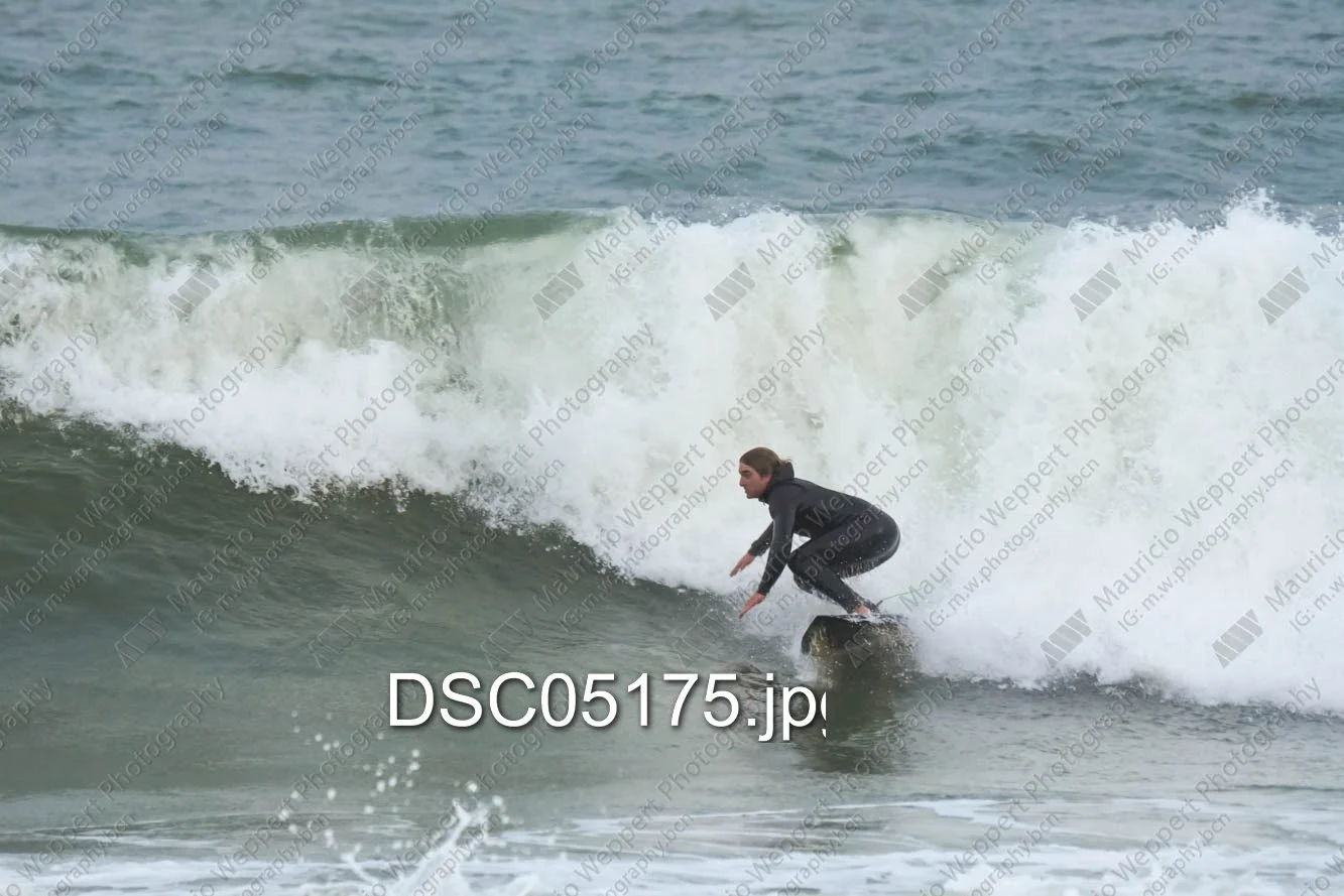 DSC05175.jpg