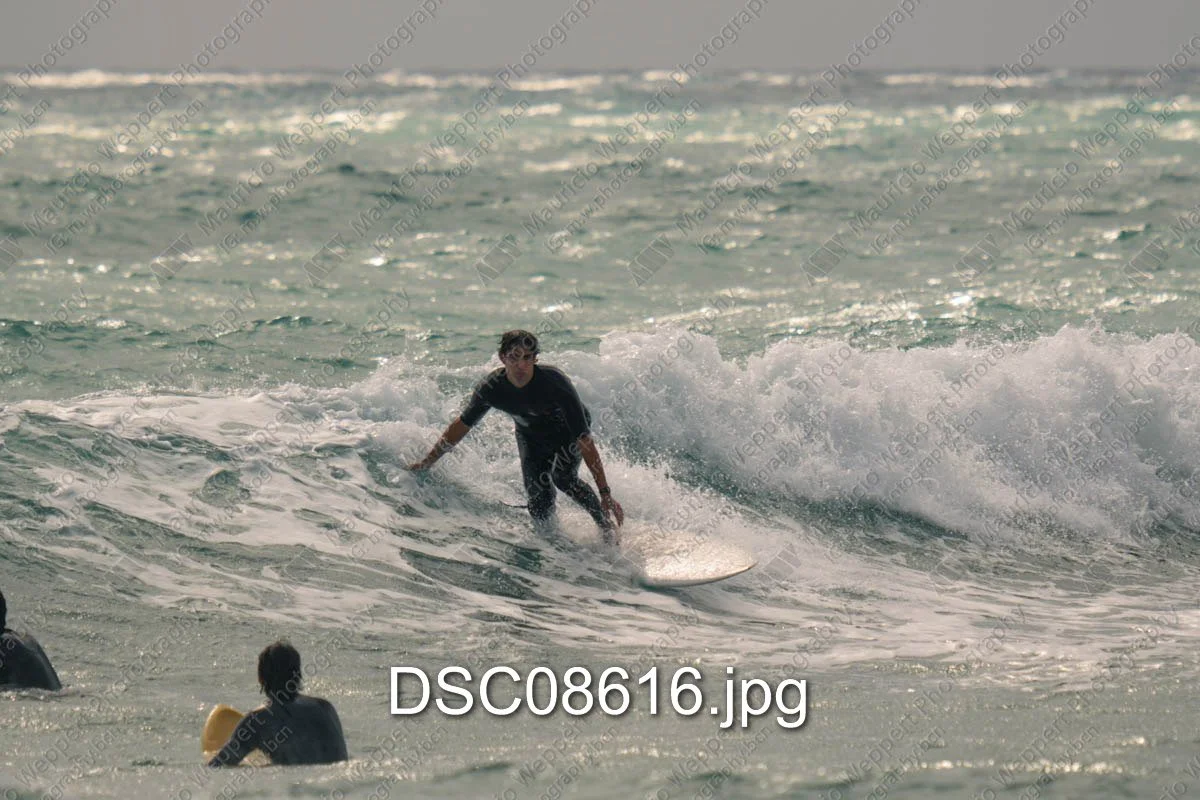 DSC08616.jpg