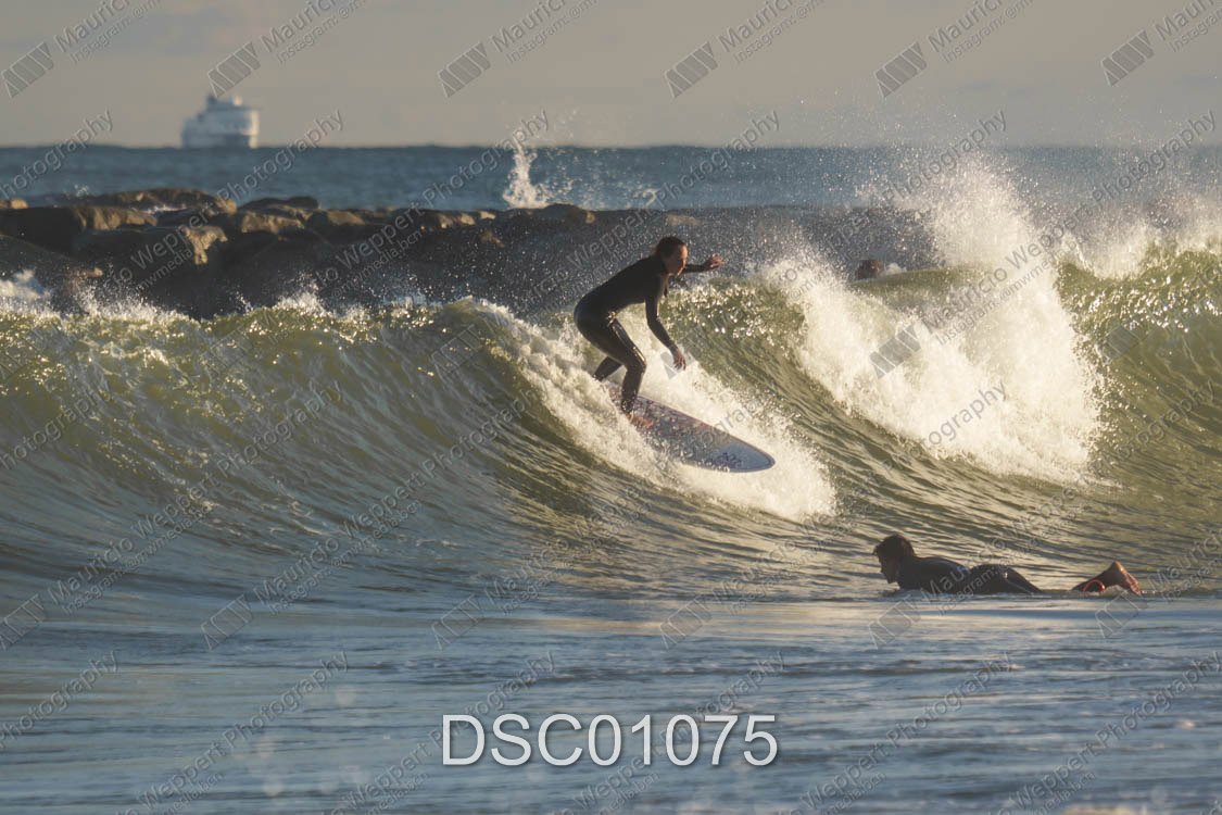 DSC01075.jpg