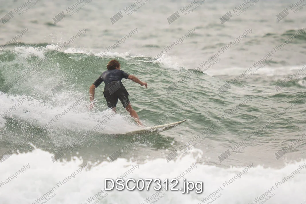 DSC07312.jpg