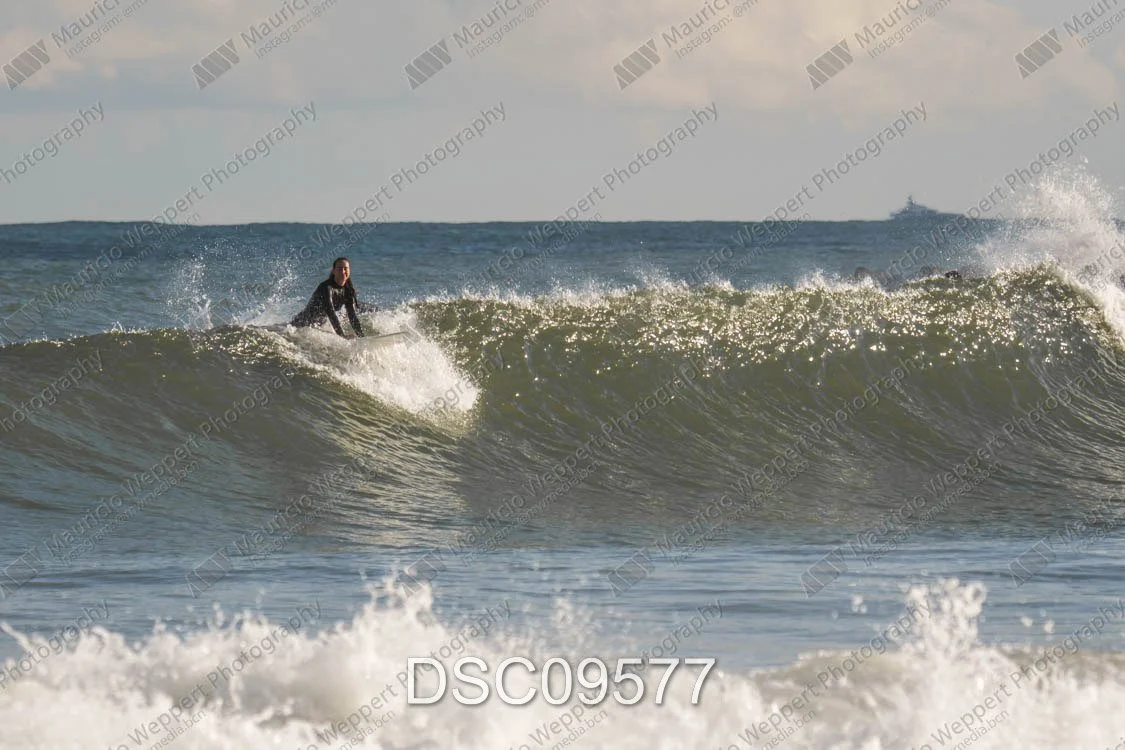 DSC09577.jpg