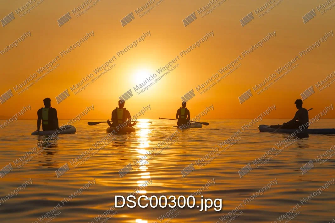 DSC00300.jpg
