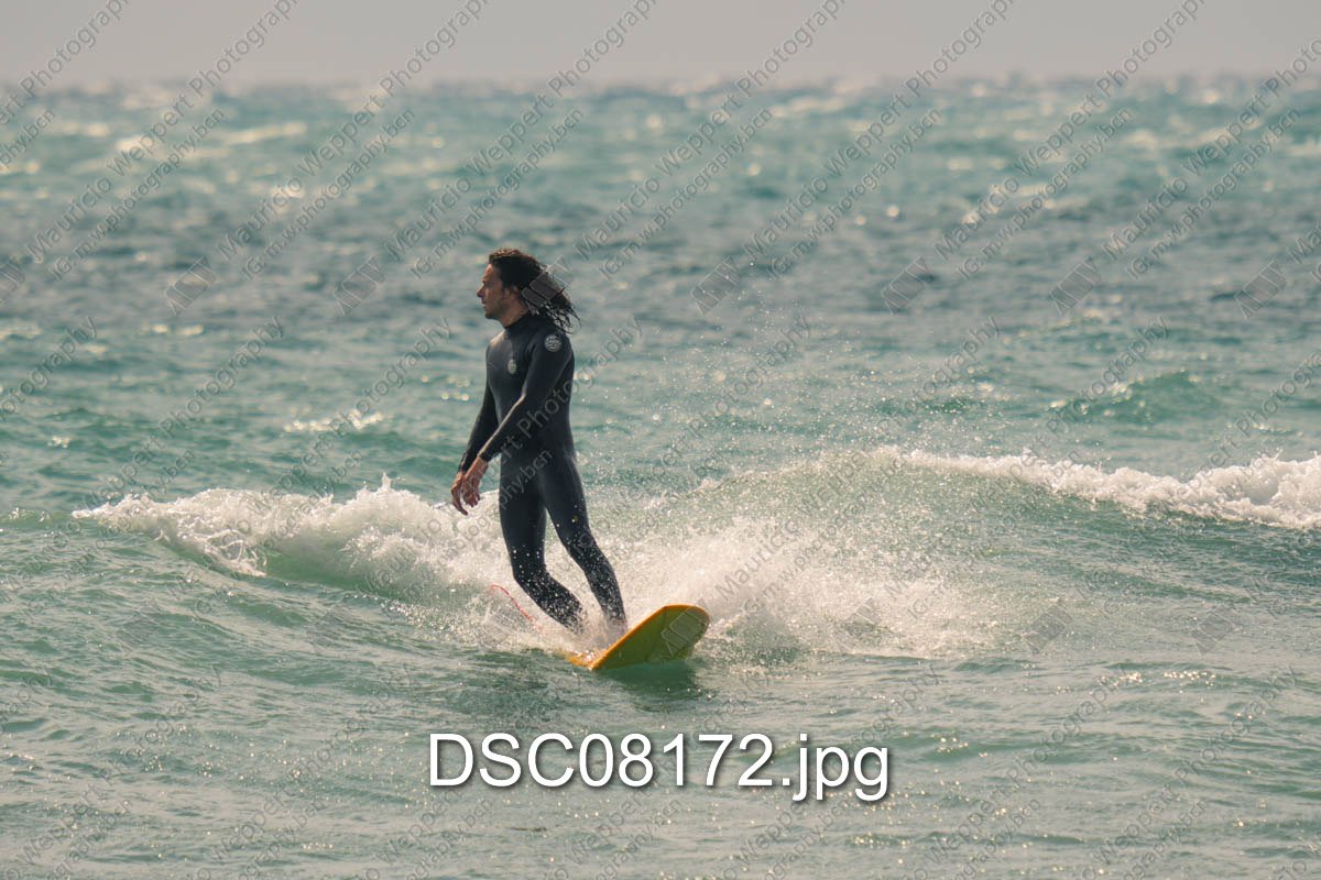 DSC08172.jpg