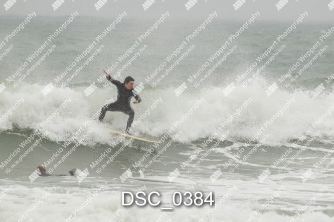 DSC_0384.jpg