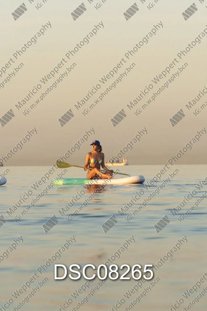 DSC08265.jpg