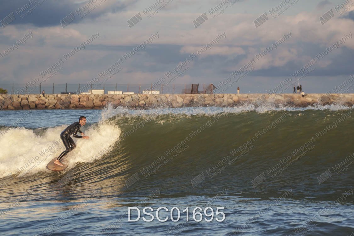 DSC01695.jpg