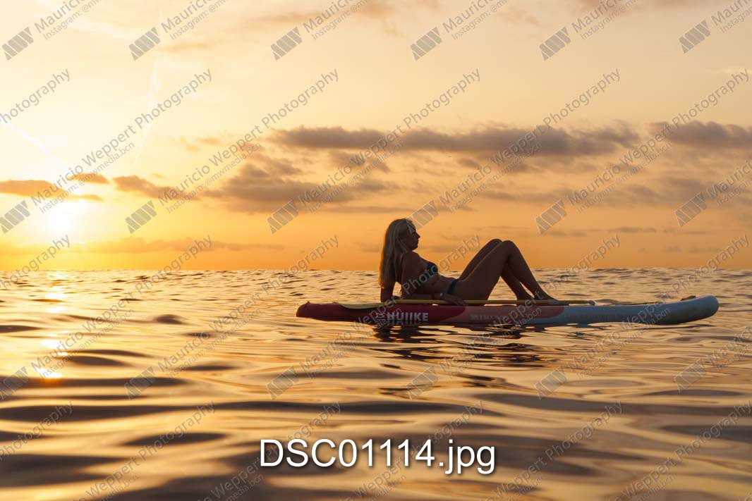 DSC01114.jpg