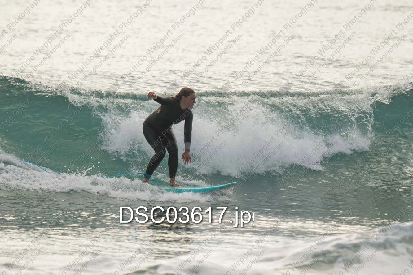 DSC03617.jpg