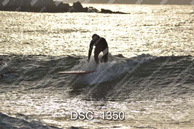 DSC_1350.jpg