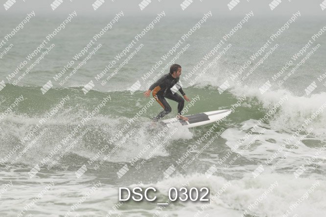 DSC_0302.jpg