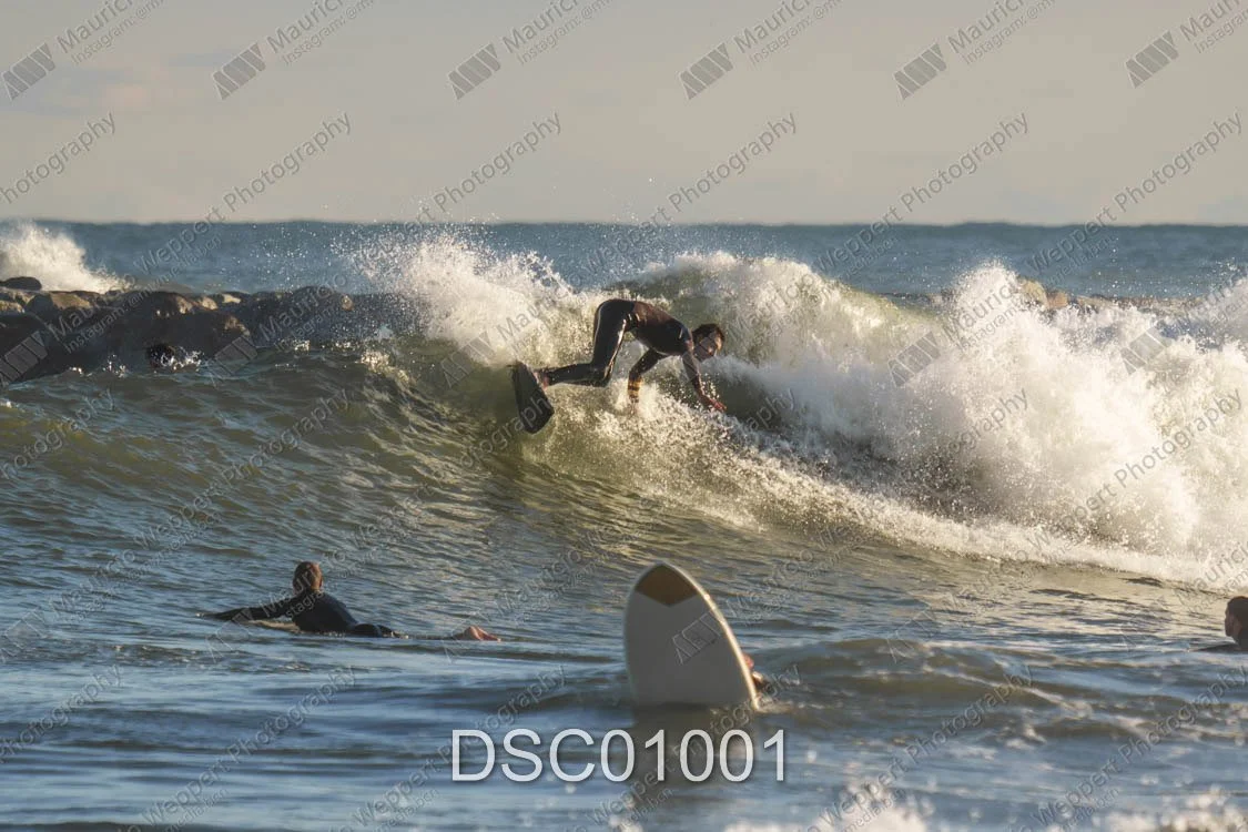 DSC01001.jpg