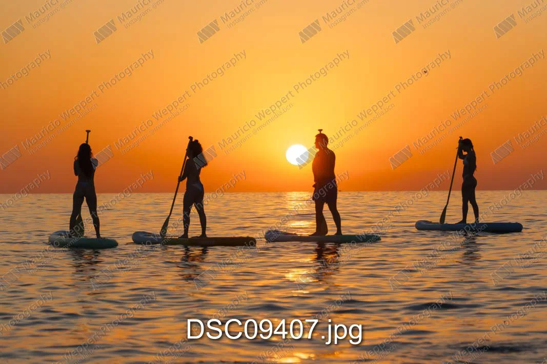 DSC09407.jpg