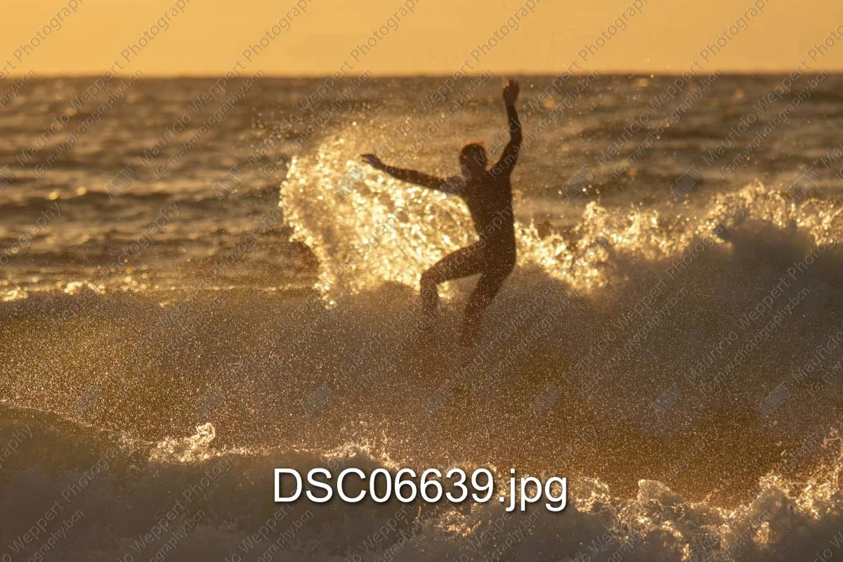 DSC06639.jpg