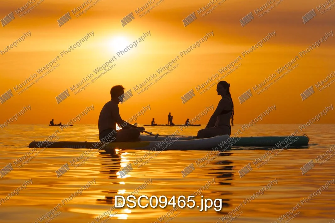 DSC09465.jpg