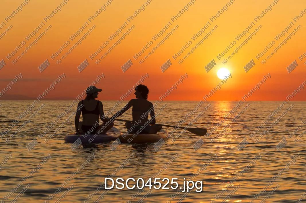DSC04525.jpg