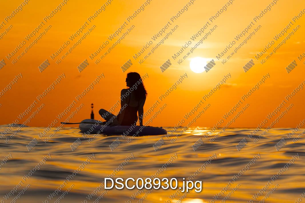DSC08930.jpg