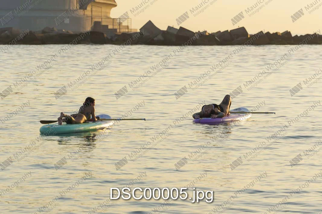 DSC00005.jpg