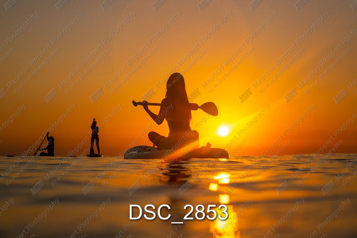 DSC_2853.jpg