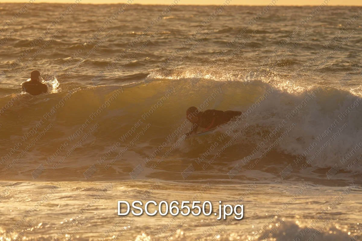 DSC06550.jpg
