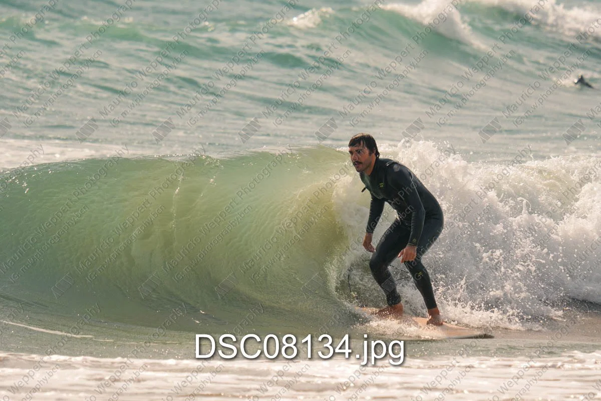 DSC08134.jpg