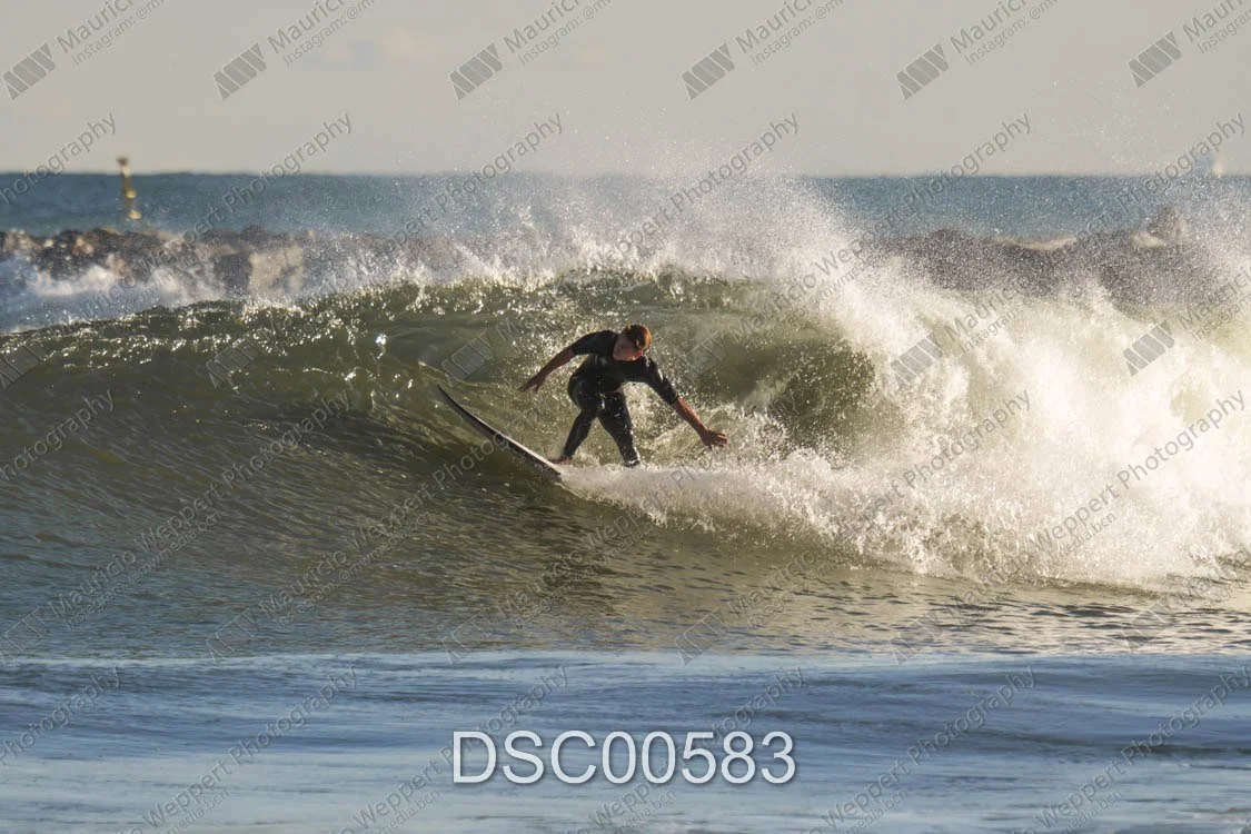 DSC00583.jpg