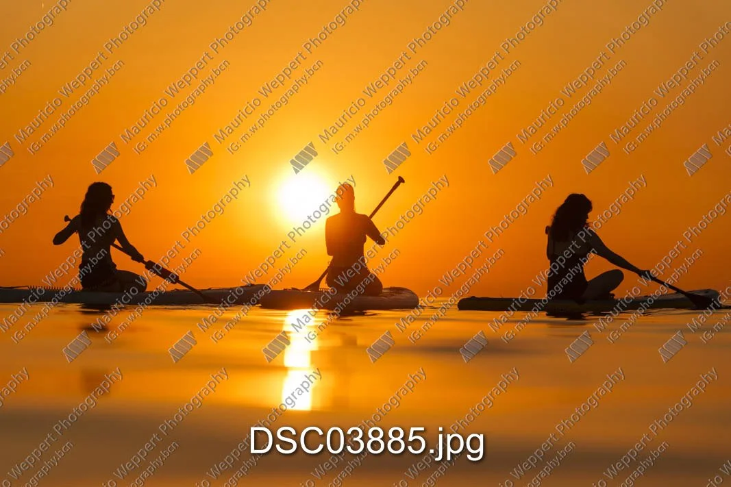 DSC03885.jpg