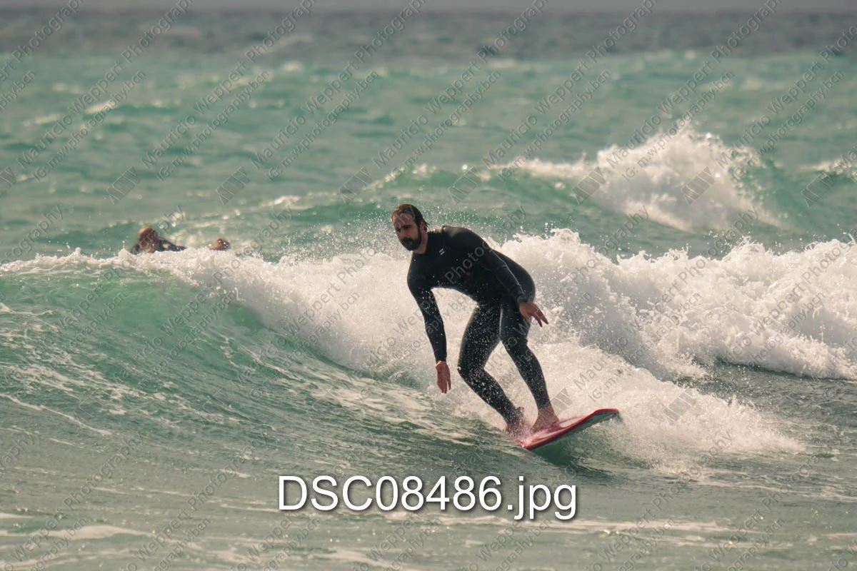 DSC08486.jpg