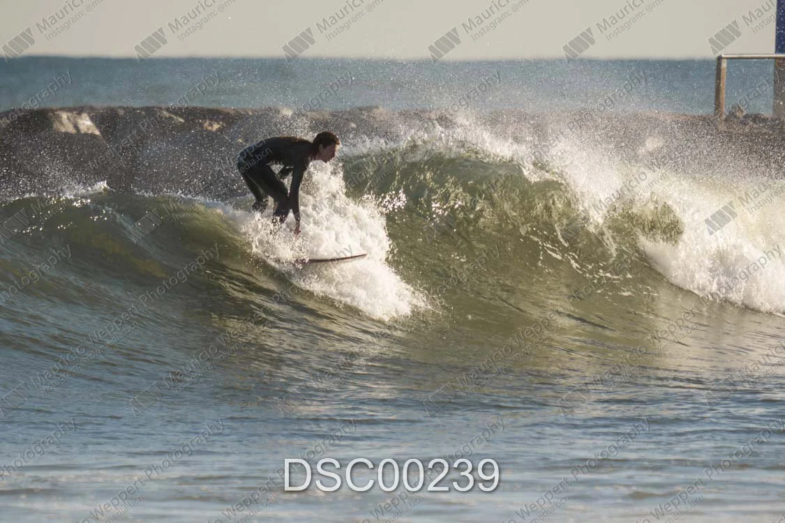 DSC00239.jpg