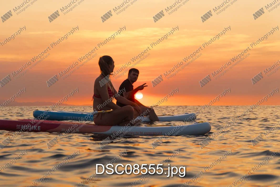 DSC08555.jpg
