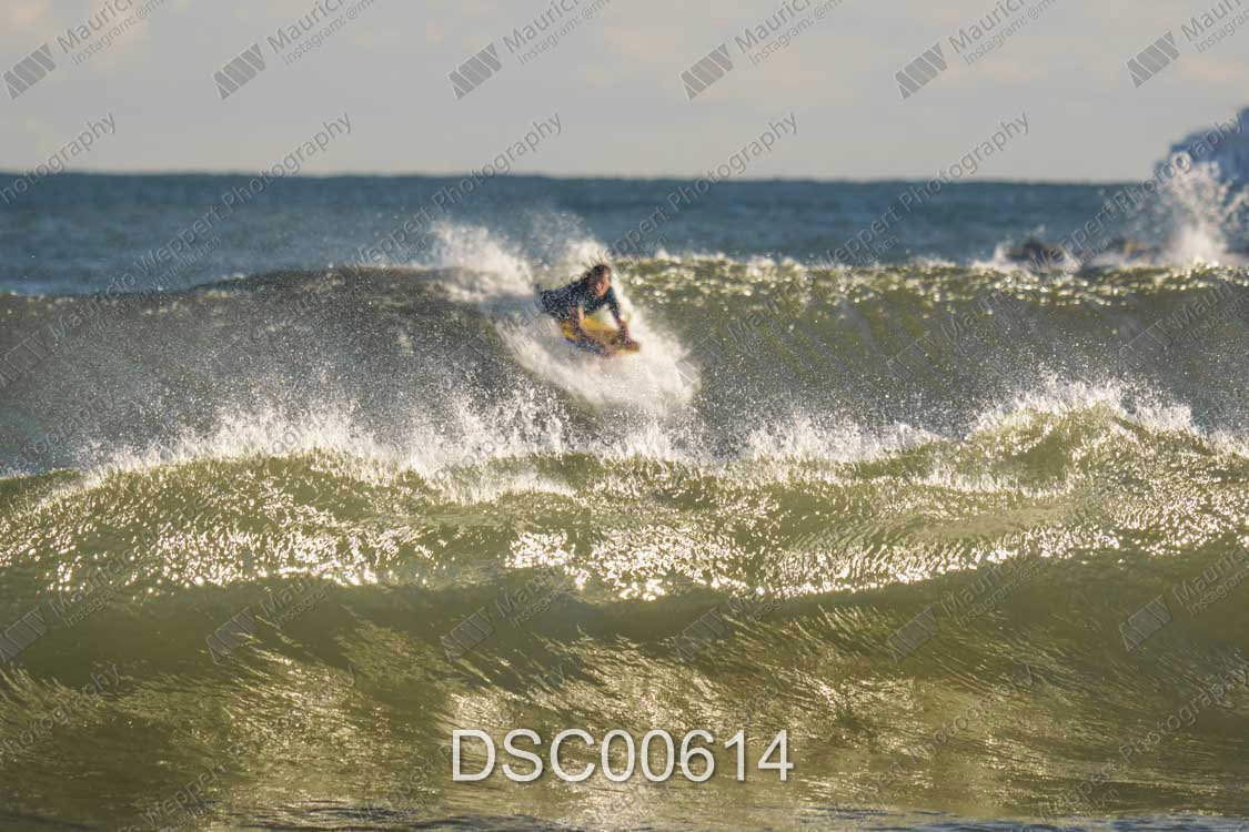 DSC00614.jpg