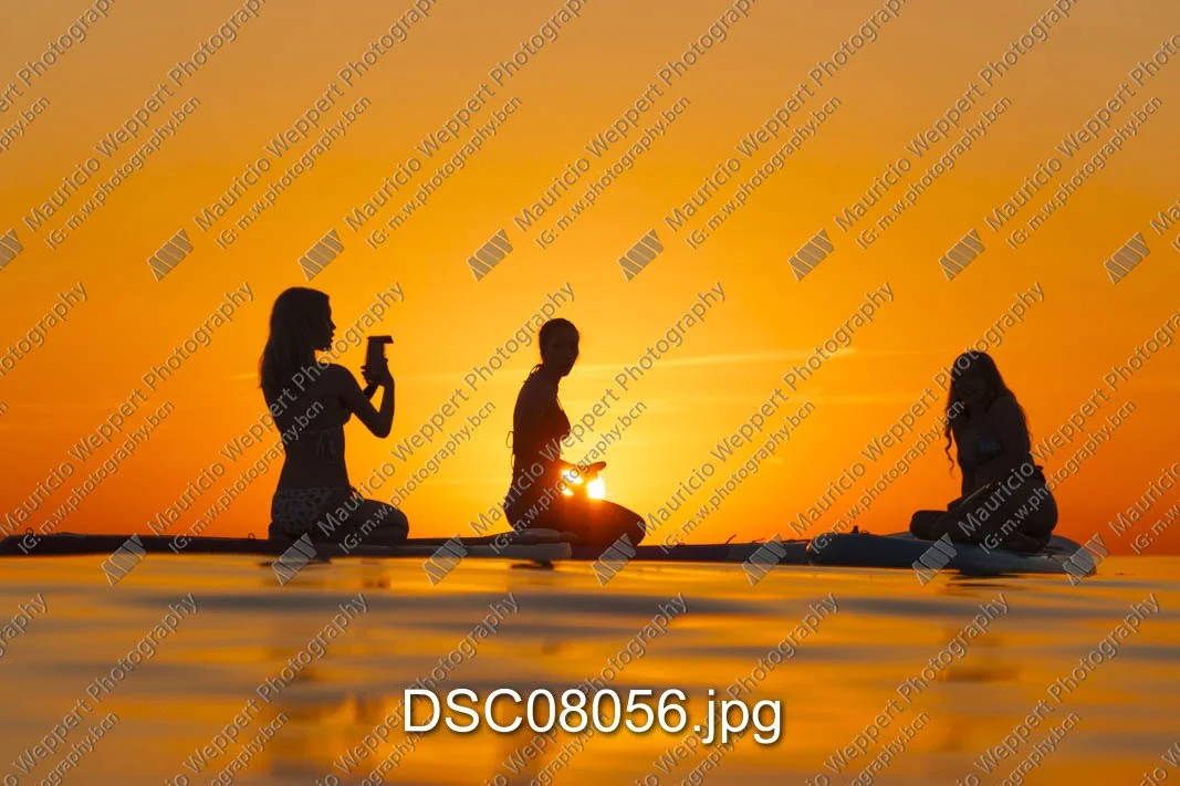DSC08056.jpg