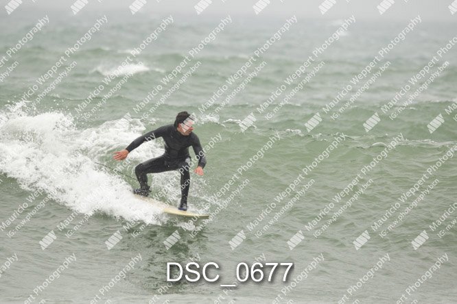 DSC_0677.jpg
