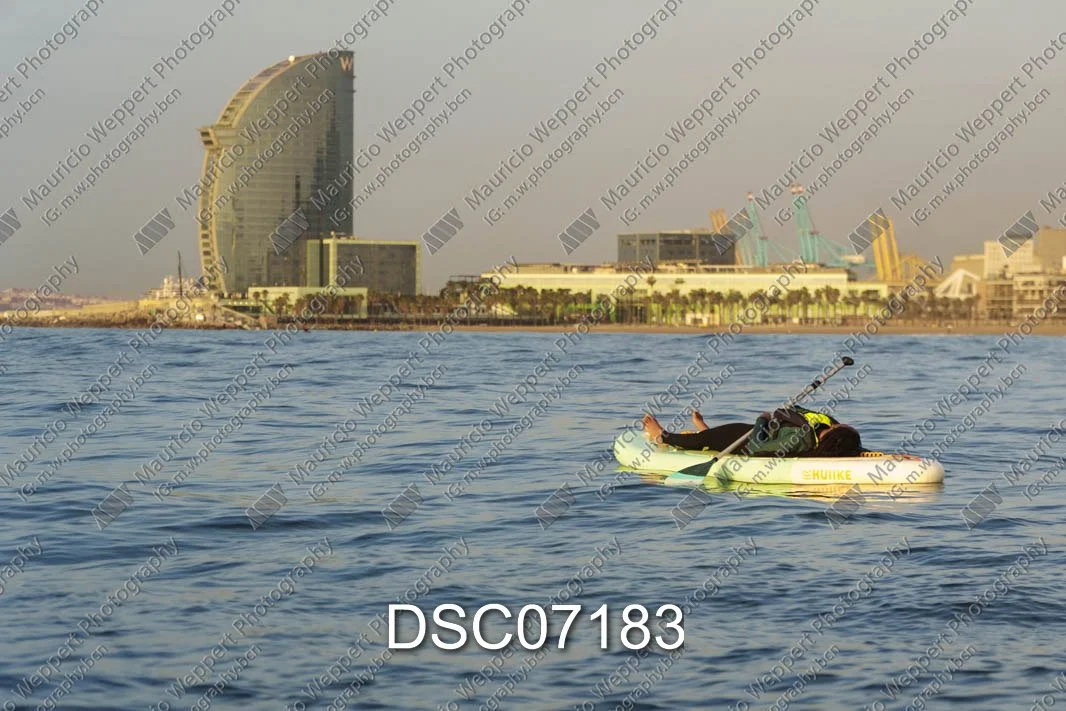 DSC07183.jpg