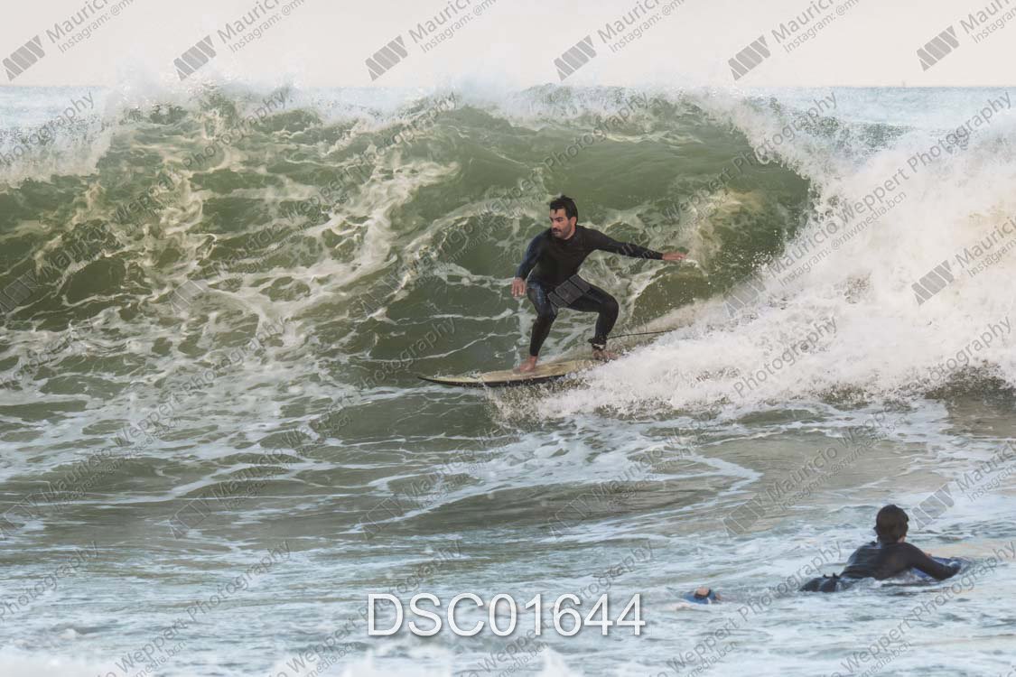 DSC01644.jpg