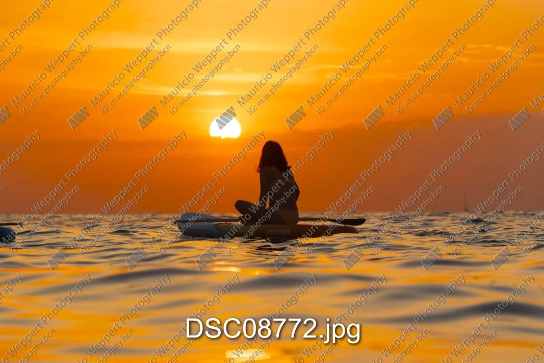 DSC08772.jpg