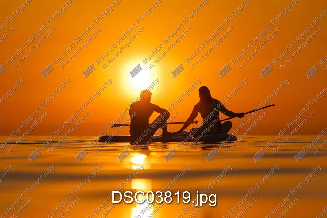 DSC03819.jpg