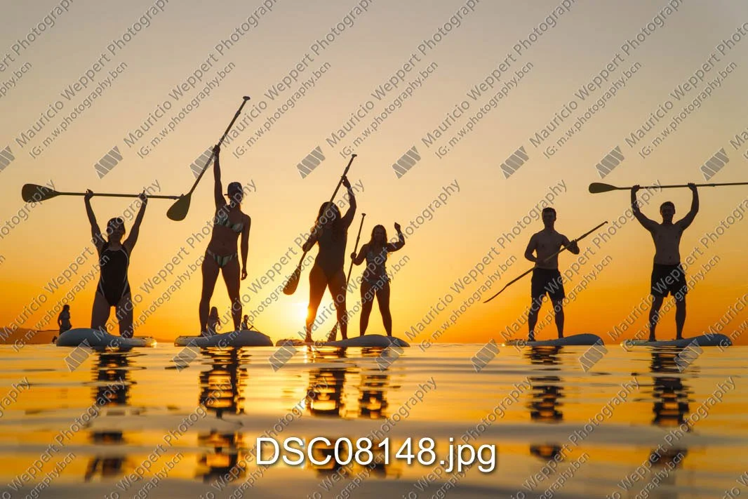 DSC08148.jpg