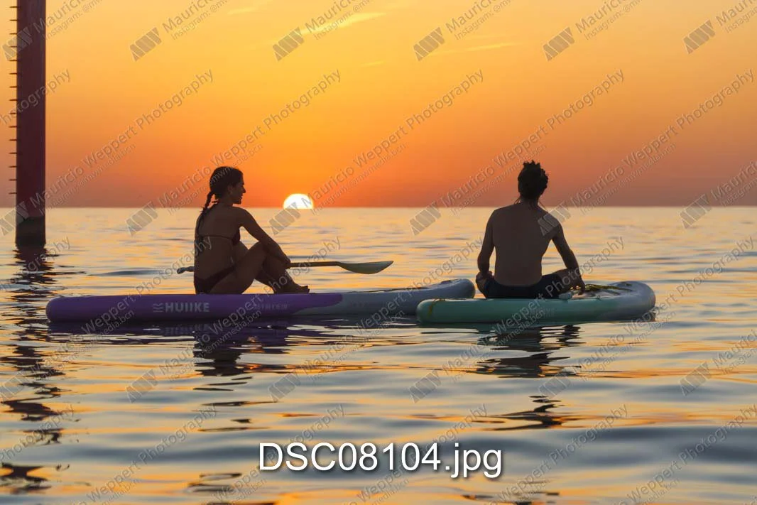 DSC08104.jpg