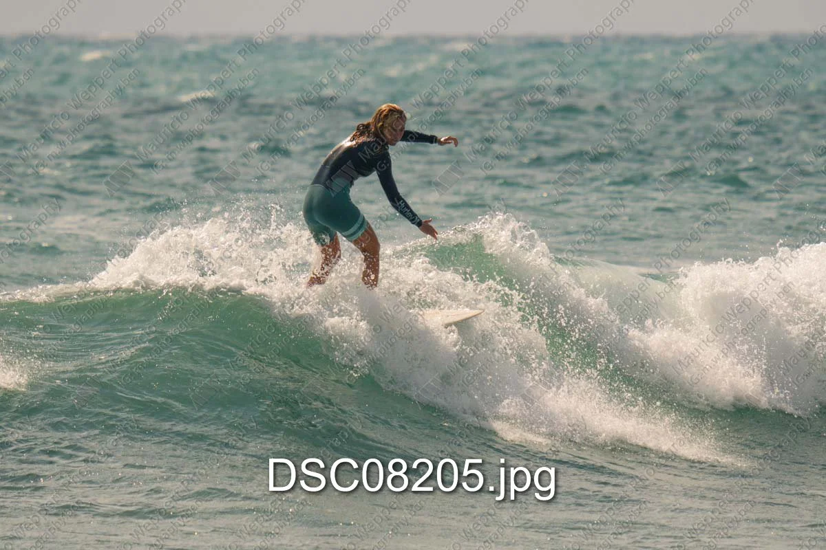 DSC08205.jpg